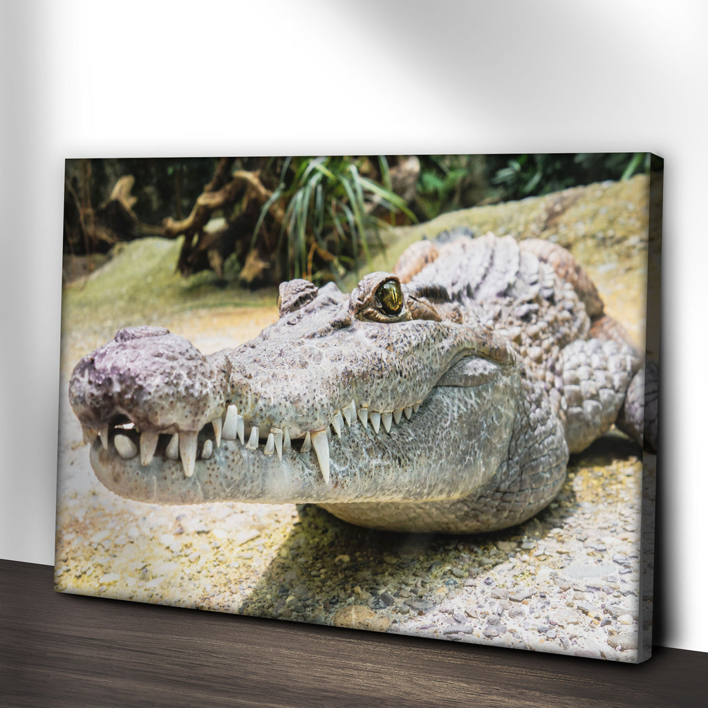 Decorate With This Unique Reptile Wall Art Tailored Canvases