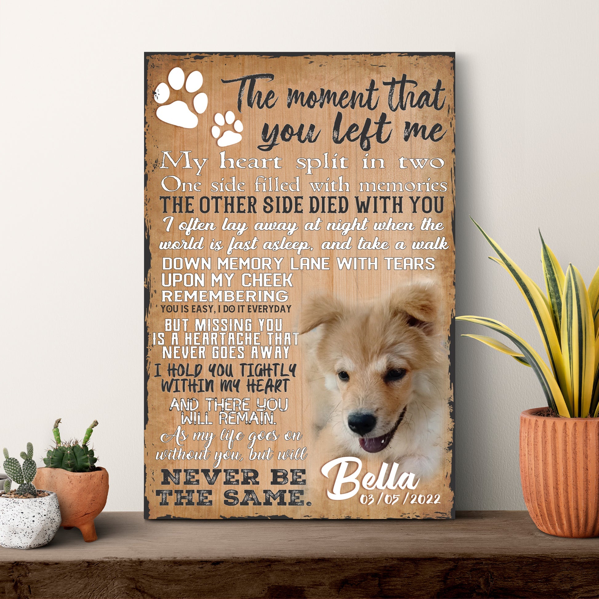 Pet Memorial Wall Ideas Transforming Your Space with Touching Pet