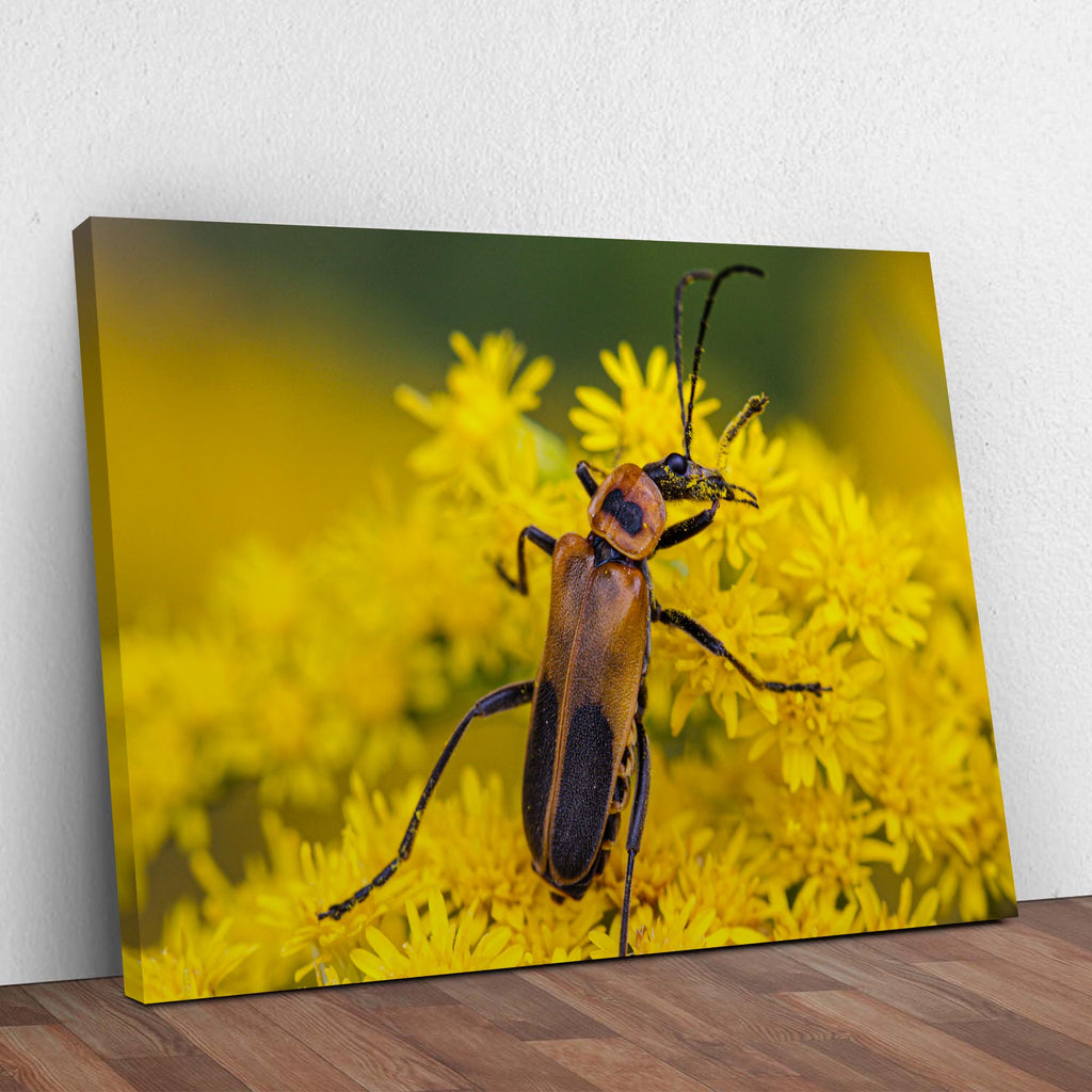 Unleash Your Inner Decorator with Tailored Canvases' Beetle Wall Art