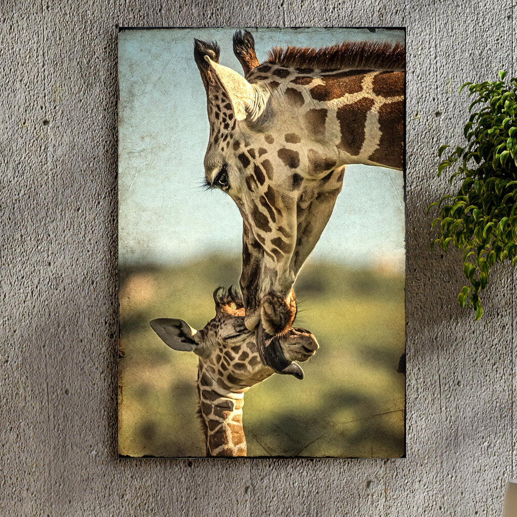 Giraffe Canvas Prints Unique Wall Decor With So Much Personality