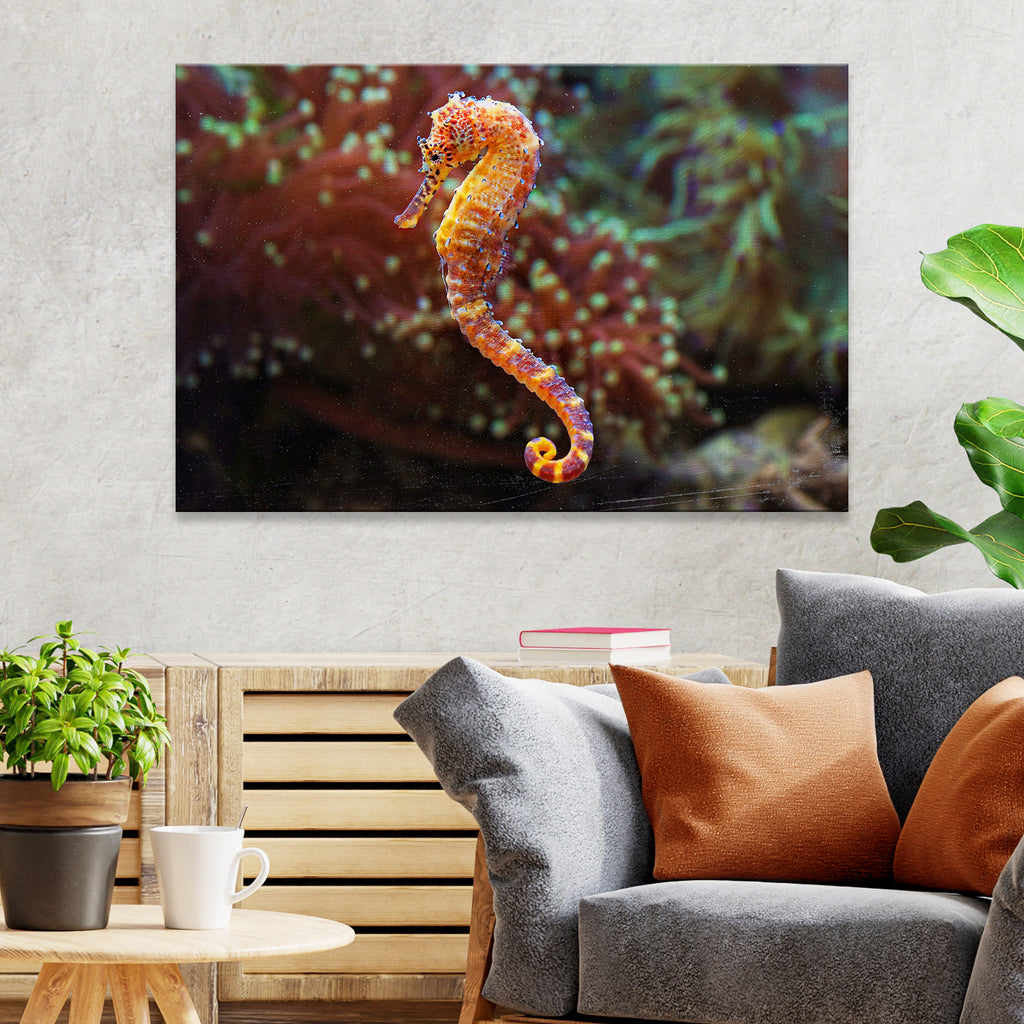 Under the Sea Decorating Ideas for Tailored Canvases' Seahorse Wall