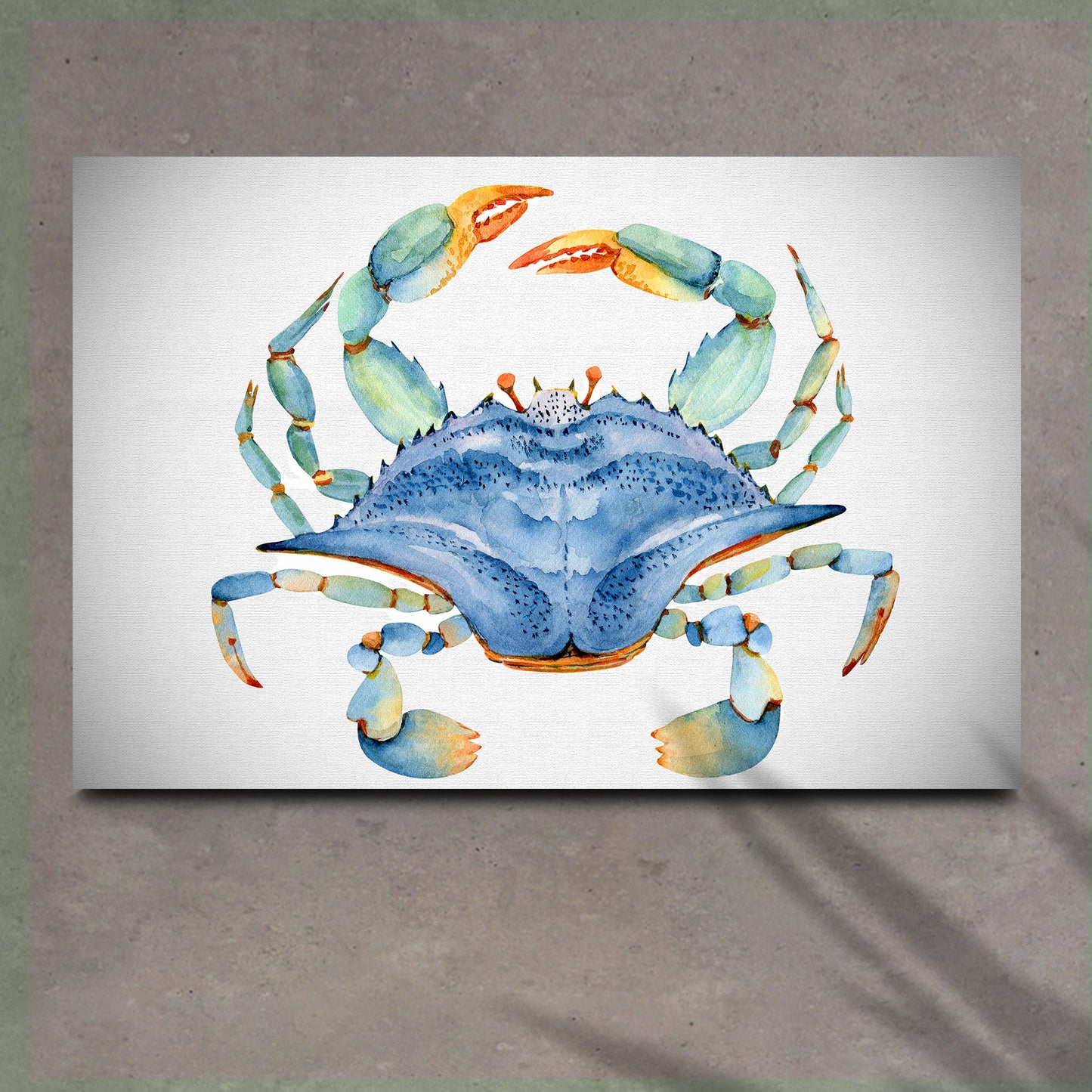 Crab Watercolor Canvas Wall Art IV (Free Shipping)