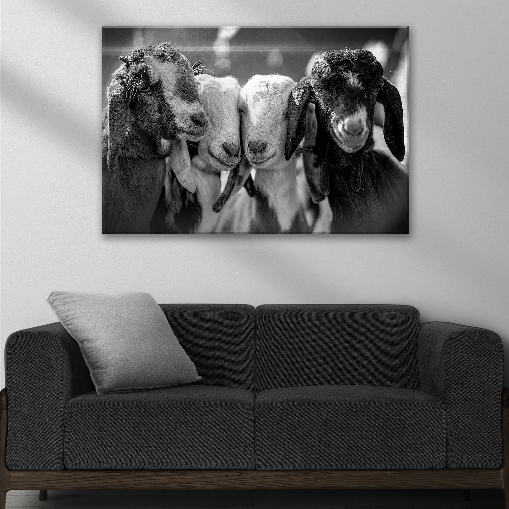 Black And White Baby Goats Canvas Wall Art Style 2 - Image by Tailored Canvases