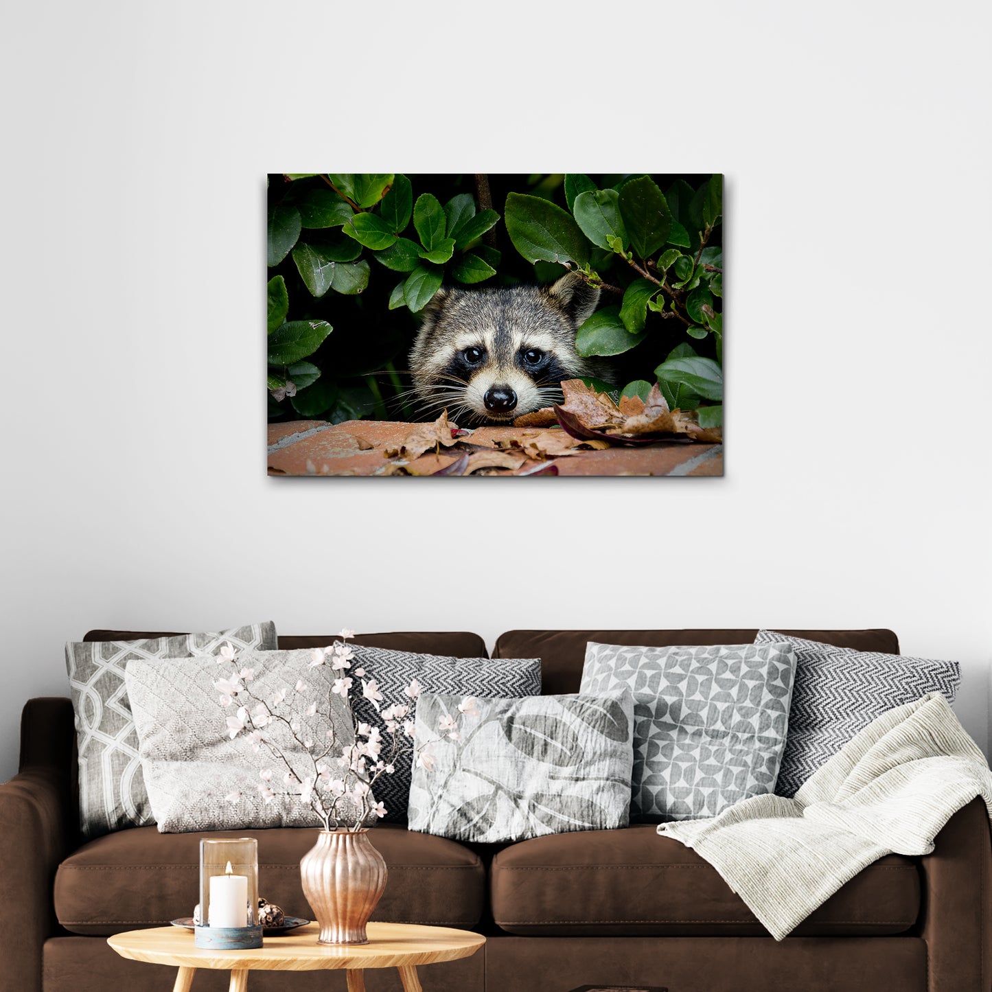 Animals Forest Raccoon Peek A Boo Canvas Wall Art - Image by Tailored Canvases