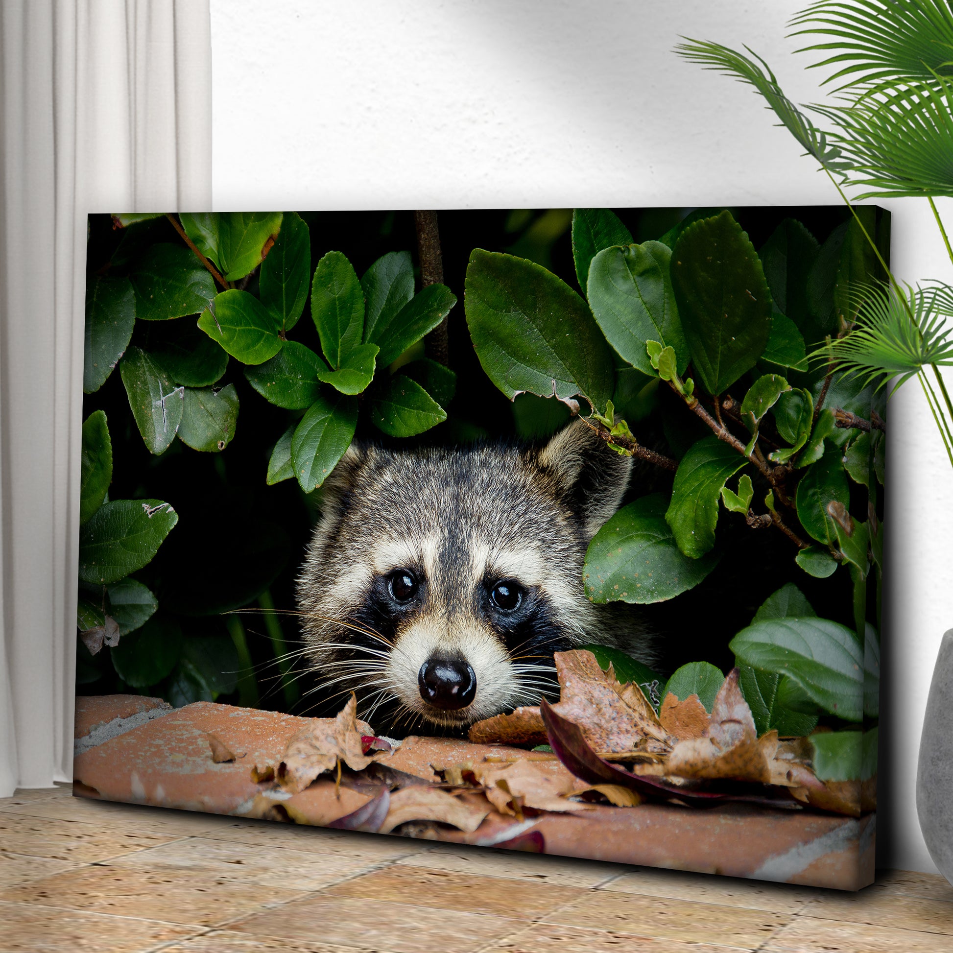 Animals Forest Raccoon Peek A Boo Canvas Wall Art Style 2 - Image by Tailored Canvases