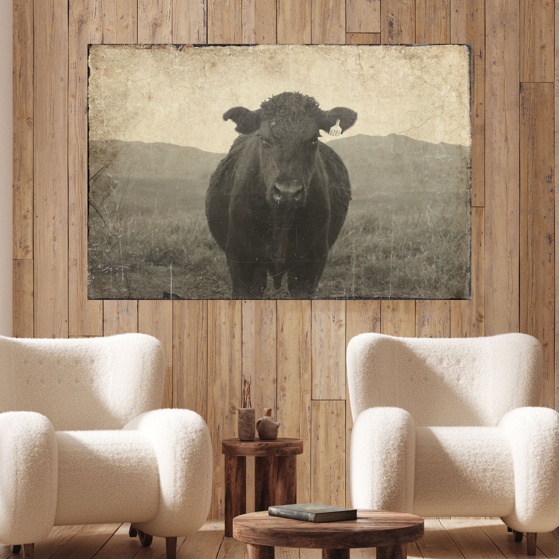 Vintage Angus Portrait - Image by Tailored Canvases