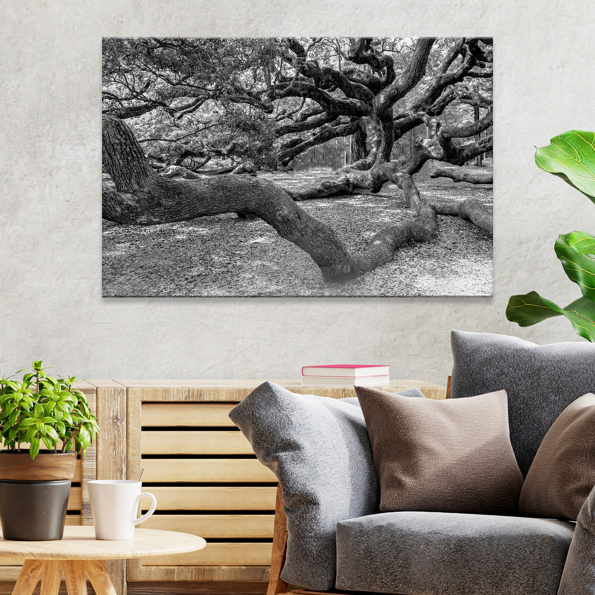 Monochrome Angel Oak Tree Canvas Wall Art II - Image by Tailored Canvases