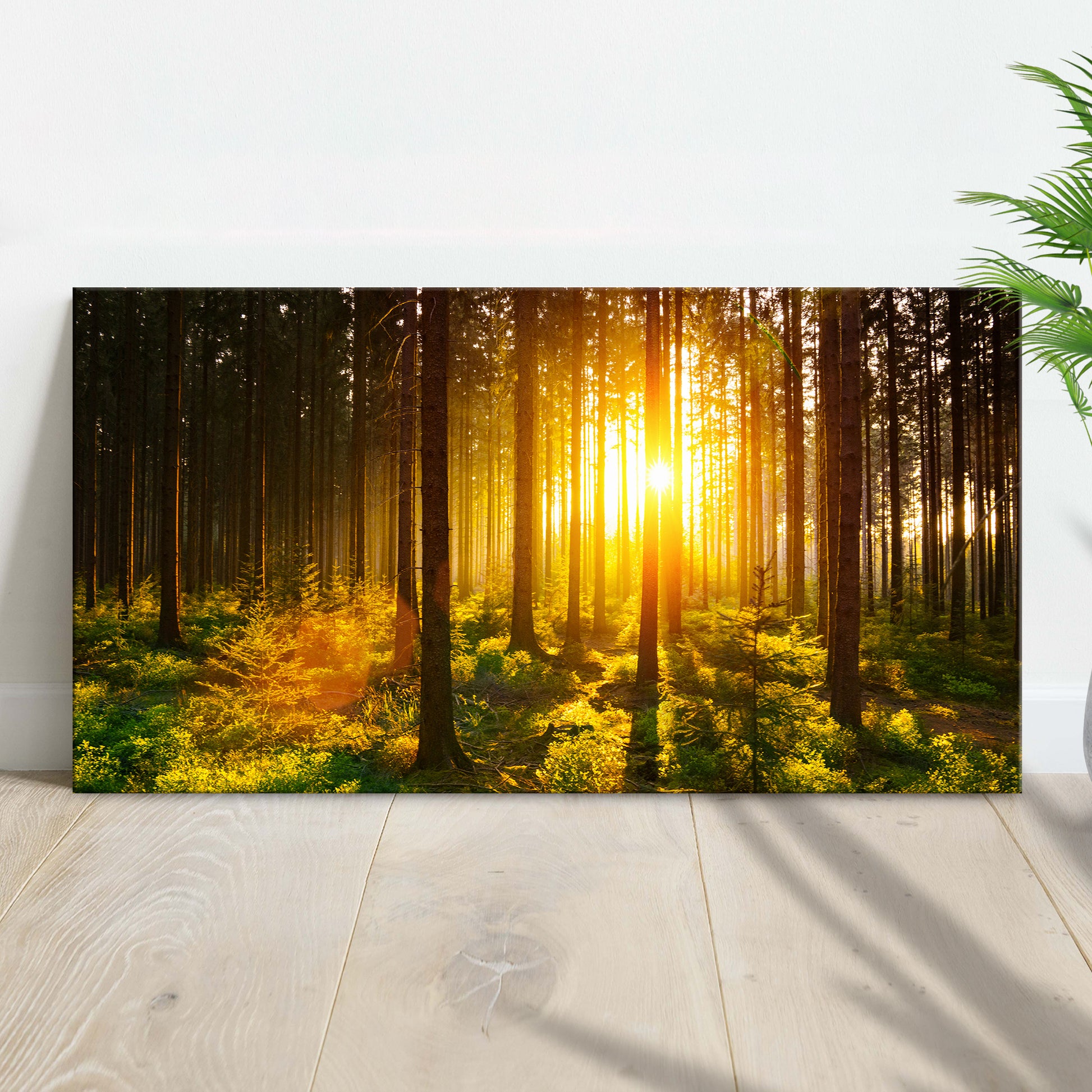 Silent Woods At Sunrise Canvas Wall Art - Image by Tailored Canvases