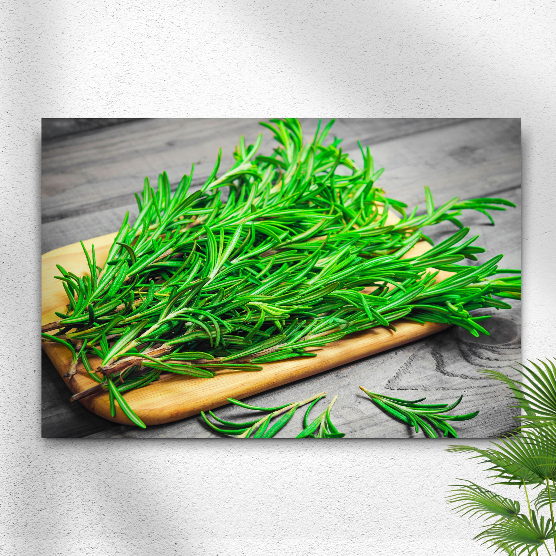 Plant Herb Rosemary Bundle Canvas Wall Art Style 1 - Image by Tailored Canvases