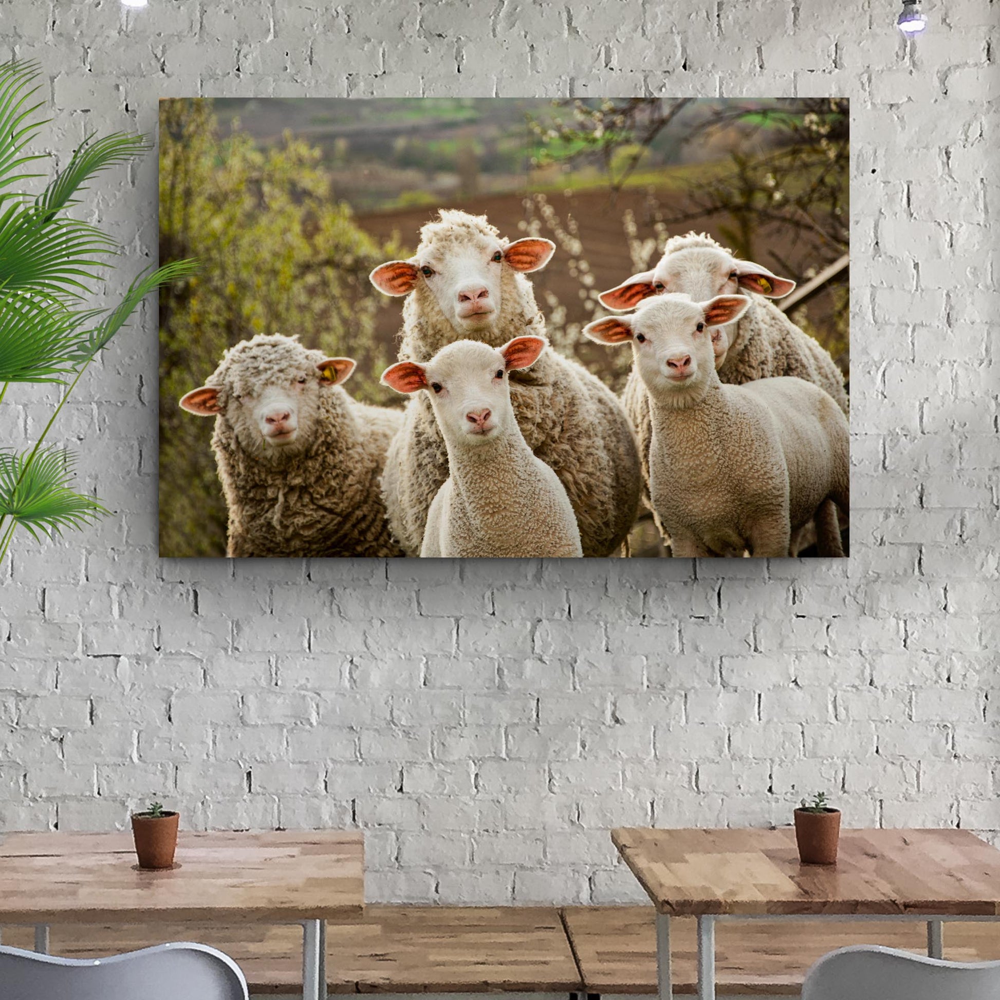 Curious Sheep Canvas Wall Art Style 2 - Image by Tailored Canvases