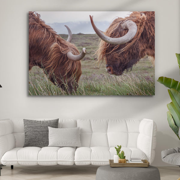 Farmhouse Highland Cow Canvas Wall Art Tailored Canvases