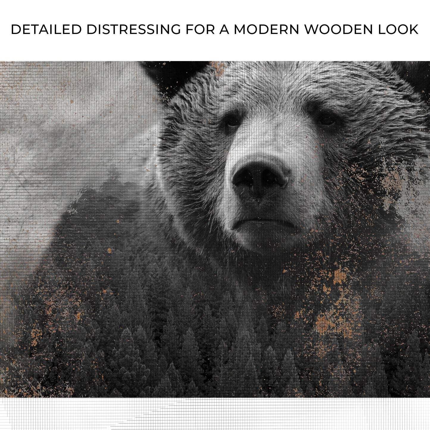 Animals Forest Bear Brown Canvas Wall Art Zoom - Image by Tailored Canvases