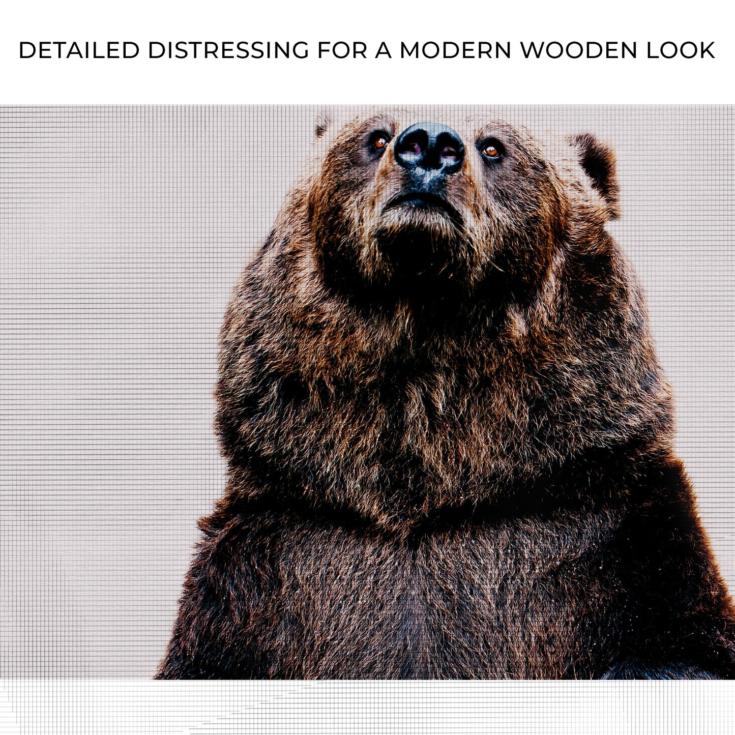 Animals Forest Bear Canvas Wall Art Zoom - Image by Tailored Canvases