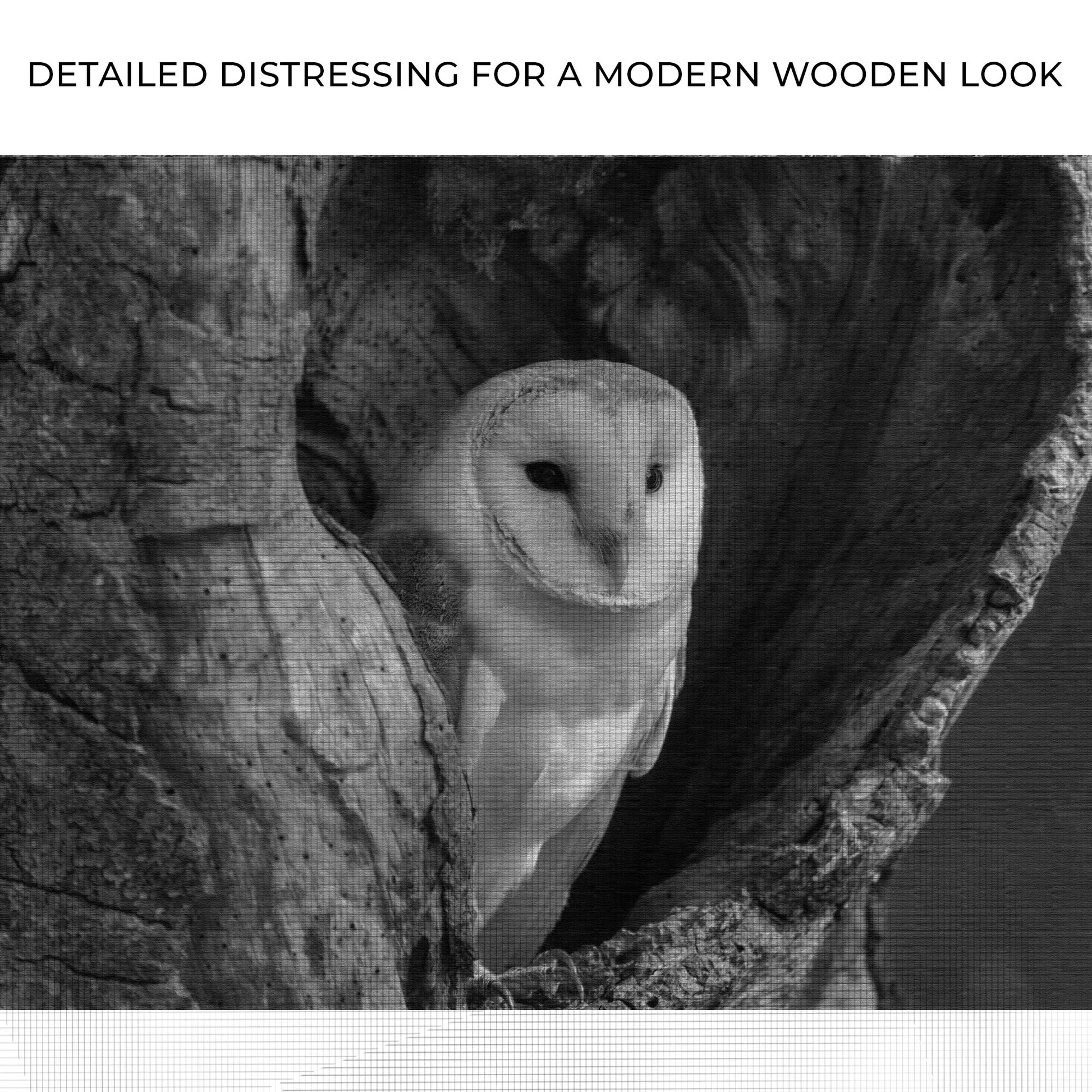 Monochrome Barn Owl Canvas Wall Art Zoom - Image by Tailored Canvases
