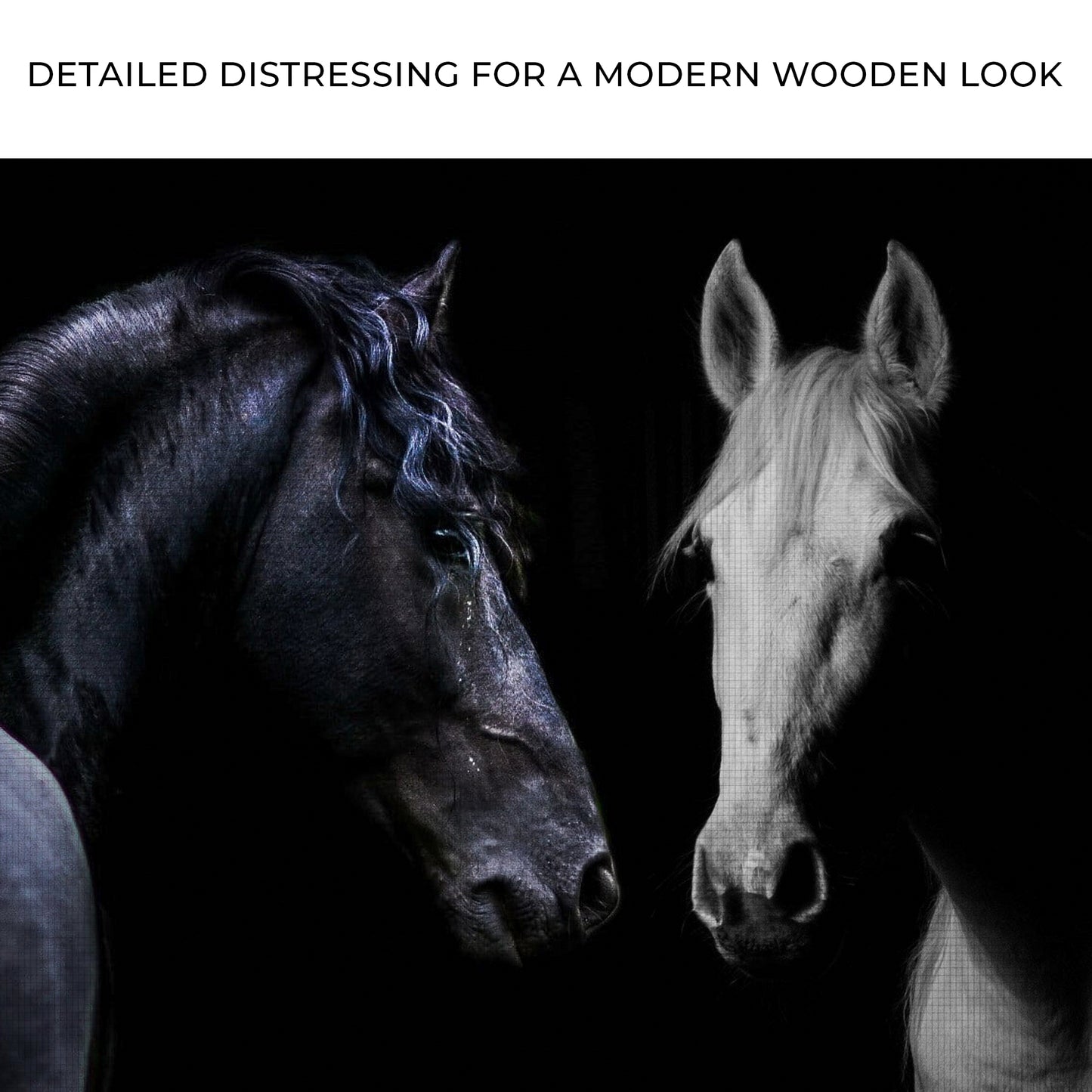 Dark And Light Horse Canvas Wall Art Zoom - Image by Tailored Canvases