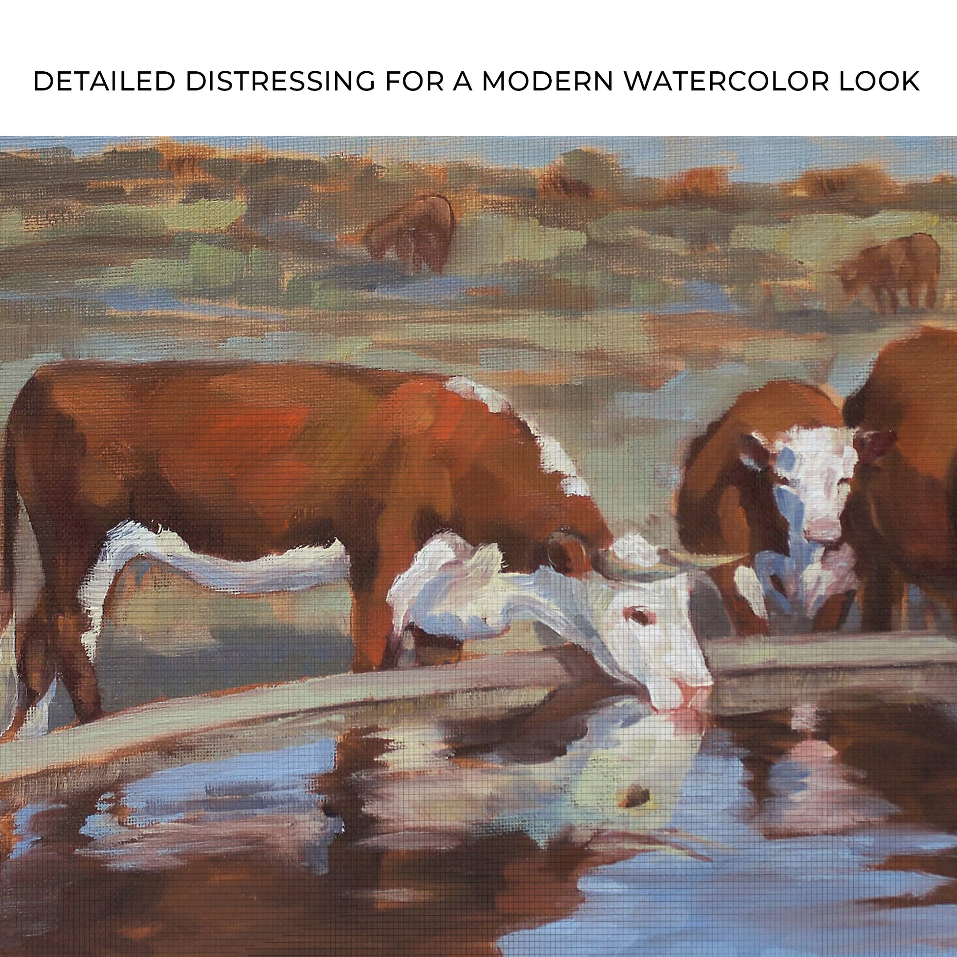 Watercolor Hereford Cattle Canvas Wall Art Zoom - Image by Tailored Canvases
