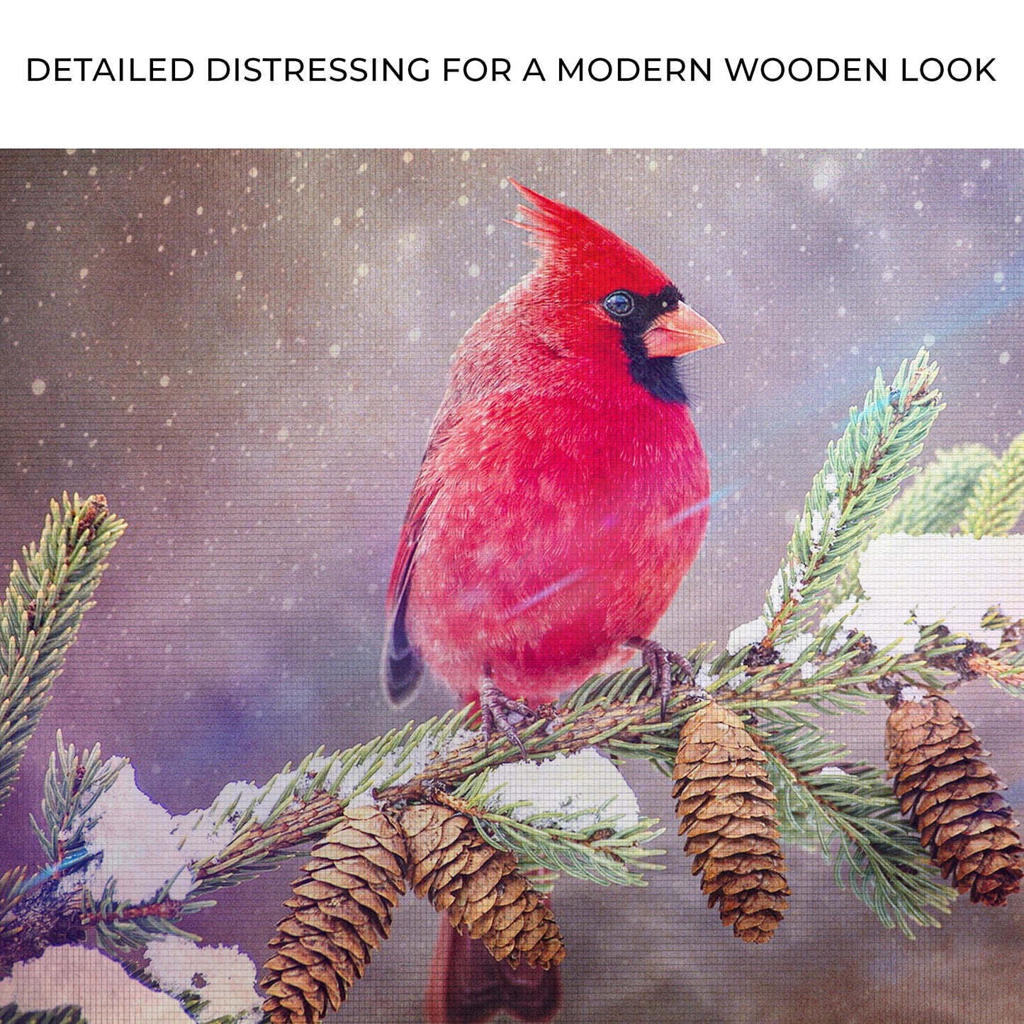 Winter Red Cardinal Canvas Wall Art Zoom - Image by Tailored Canvases