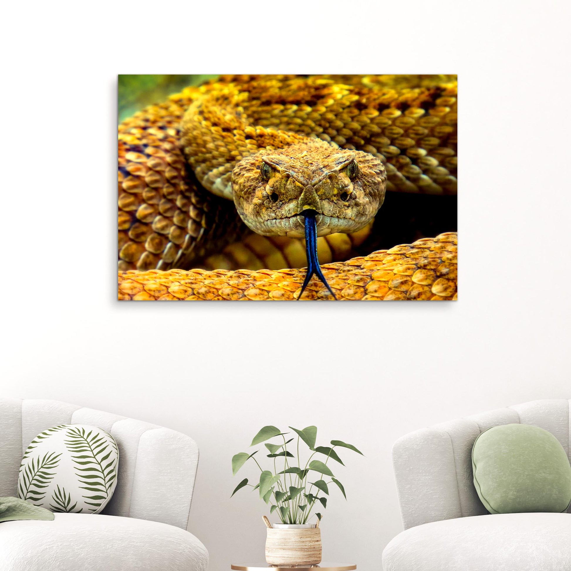 Reptile Snake Coiled Rattlesnake Canvas Wall Art Style 1 - by Tailored Canvases
