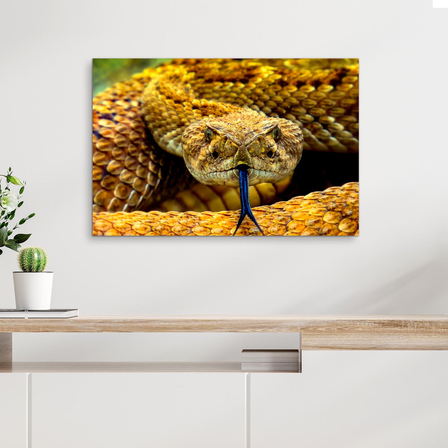 Reptile Snake Coiled Rattlesnake Canvas Wall Art - by Tailored Canvases