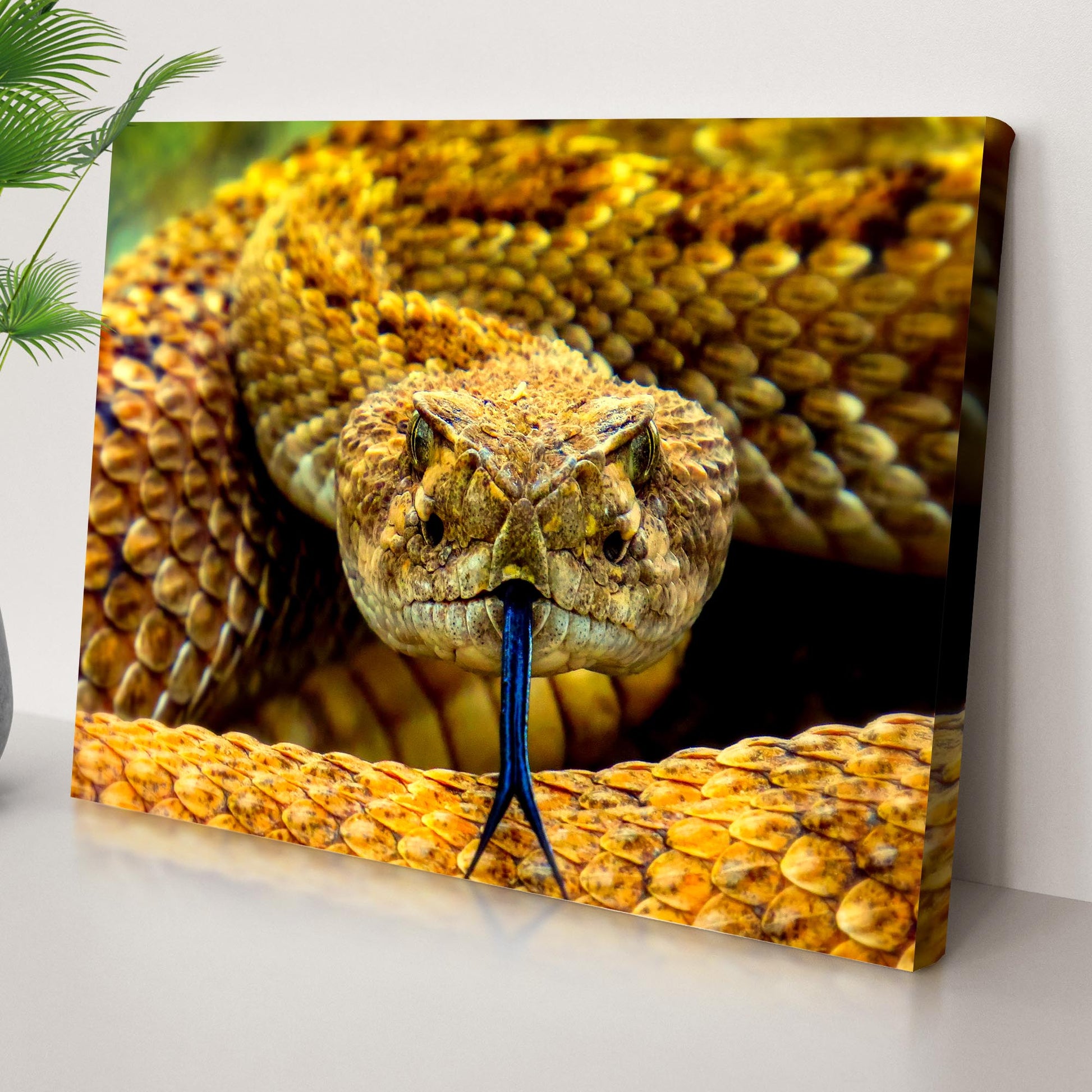 Reptile Snake Coiled Rattlesnake Canvas Wall Art Style 2 - by Tailored Canvases