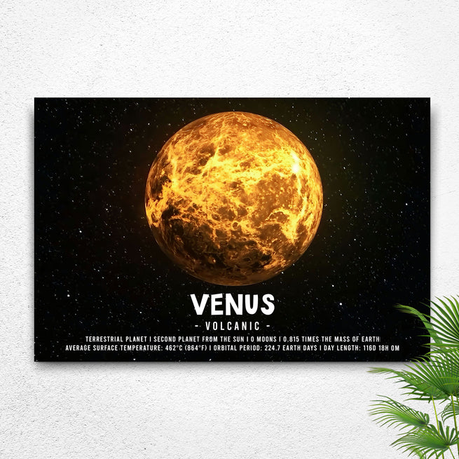 Bringing The Beauty Of Venus To Your Home: Tailored Canvases - Image by Tailored Canvases