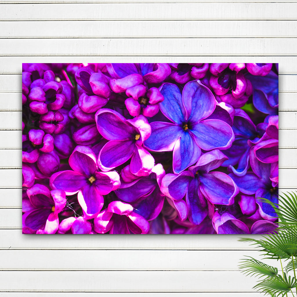 Lilac Canvas Wall Art for Interior Design - Image by Tailored Canvases