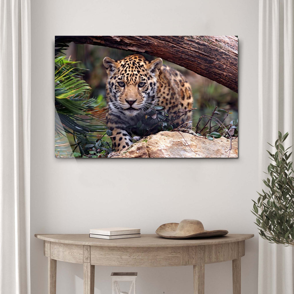 Display This Stunning Jaguar Wall Art in Your House | Tailored Canvases ...