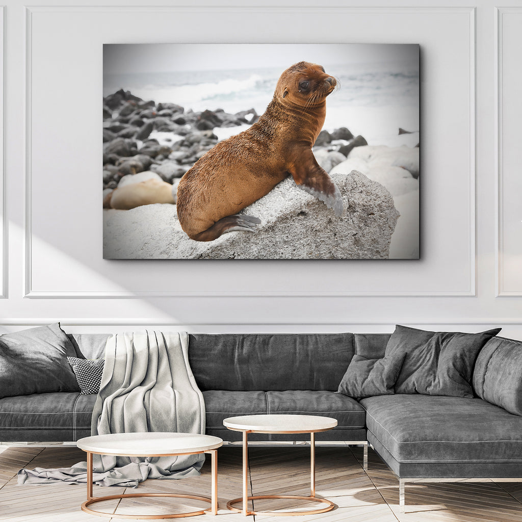 Seal the Deal: Diving into the World of Seal Wall Art | Tailored Canvases