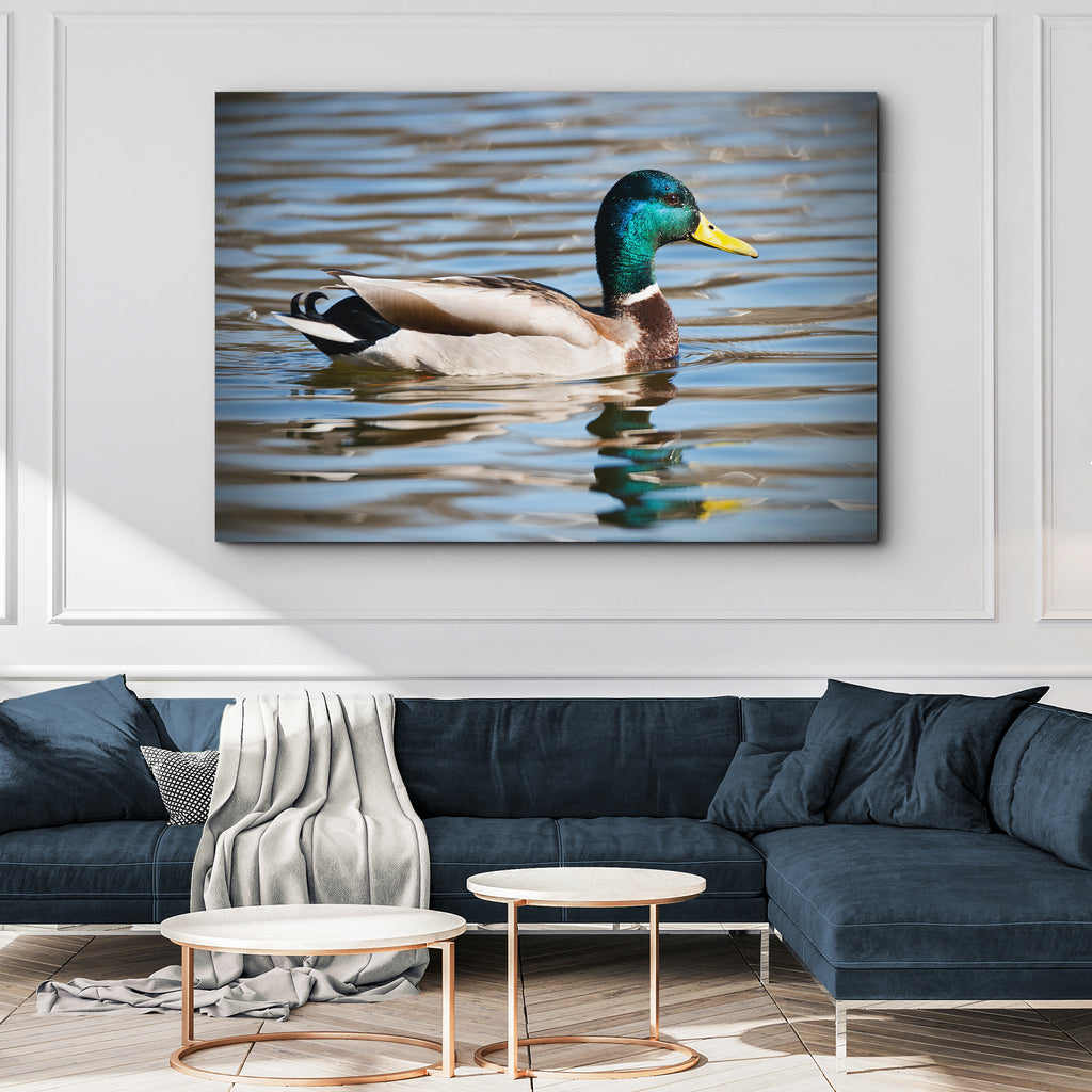 Brighten Your Walls for Any Season With Duck Wall Art | Tailored ...