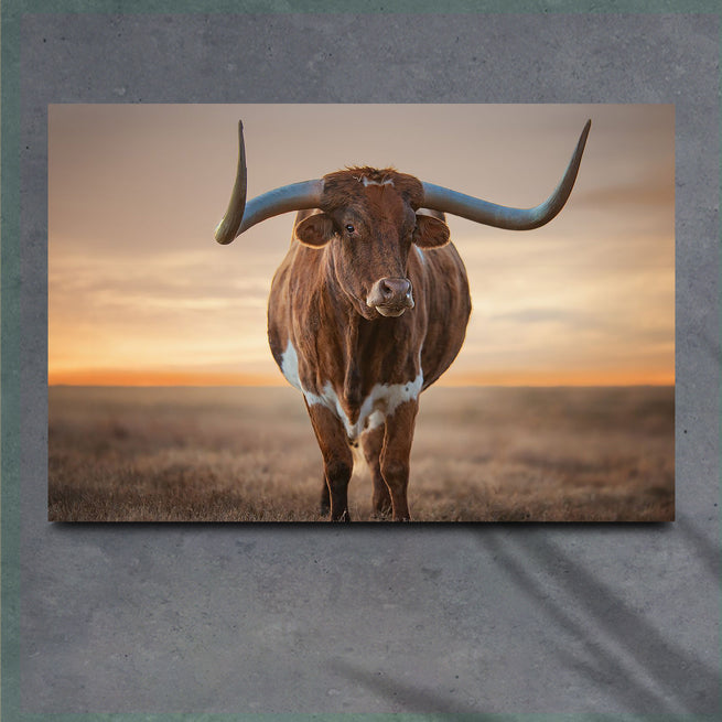 Moo-dern Decor: Decorating Ideas For  Tailored Canvases' Cow Canvas Prints - Image by Tailored Canvases