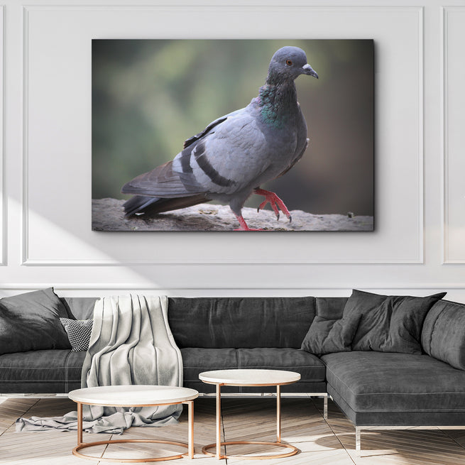 Beauty In Simplicity: The Pigeon Canvas Wall Art - by Tailored Canvases