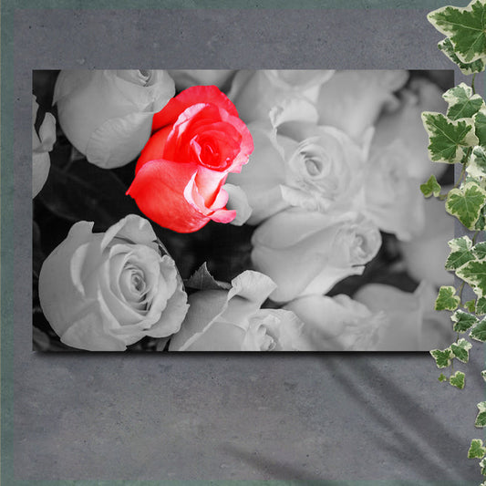 Add a Touch of Love to Your Home with Our Beautiful Red Rose Wall Art - by Tailored Canvases