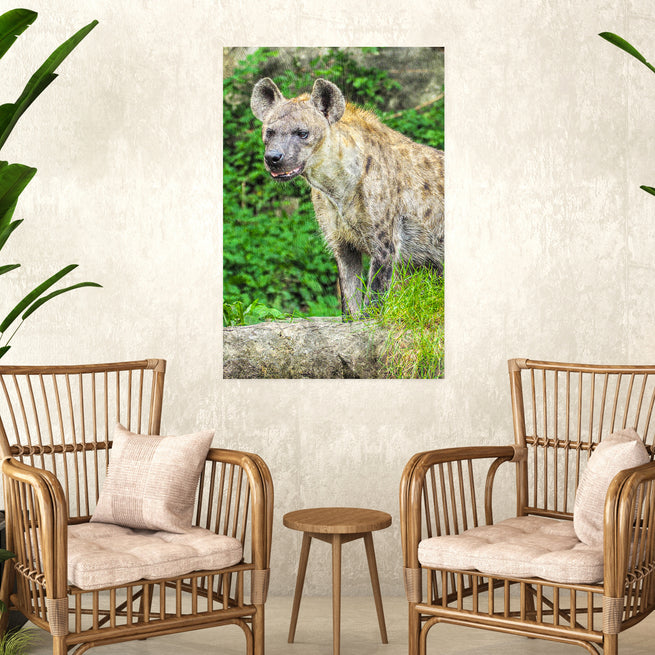 Add a Touch of Wildness to Your Home Décor with Tailored Canvases Hyena Wall Art Prints - by Tailored Canvases