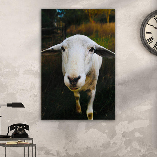 Ways to Use Sheep Wall Art to Decorate Your House - by Tailored Canvases