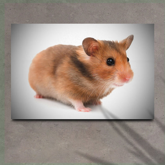 Playful Hamster Wall Art to Add Some Fun to Your Home - by Tailored Canvases