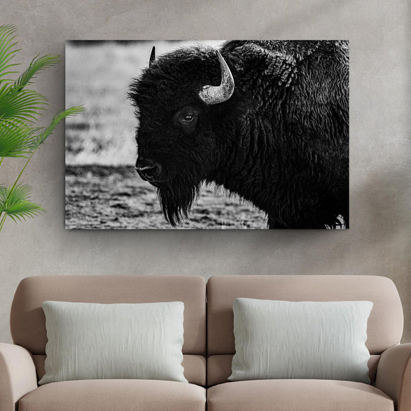 Majestic Bison Wall Art To Spruce Up Any Space | Tailored Canvases ...