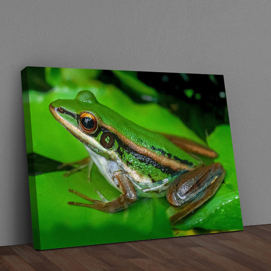 Hop Into Style: Decorating Ideas For Tailored Canvases' Frog Wall Art - Image by Tailored Canvases