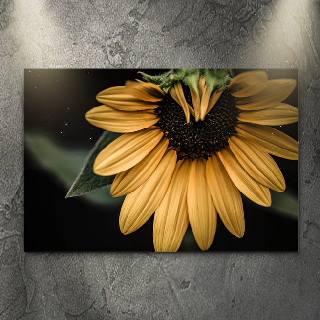 Spread Happiness and Positivity with Our Beautiful Collection of Sunflower Wall Art - by Tailored Canvases