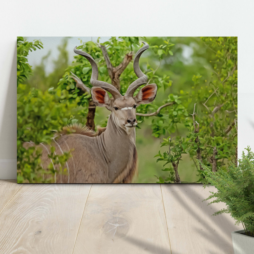 Bringing The Wild Into Your Home With  The Coolest  Antelope Wall Art - Image by Tailored Canvases