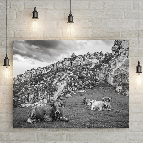 A Stylish Monochrome Wall With Gray Wall Art Tailored Canvases Wall