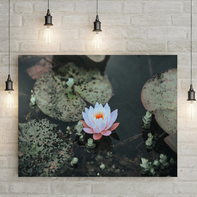  5 Inspiring Decorating Ideas For Tailored   Canvases' Lotus Flower Canvas Wall Art - Image by Tailored Canvases