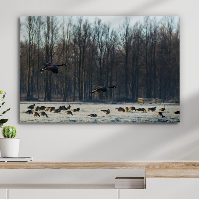 Fly High With Geese Canvas Wall Art:  A Tailored Way To Decorate Your Home - Image by Tailored Canvases
