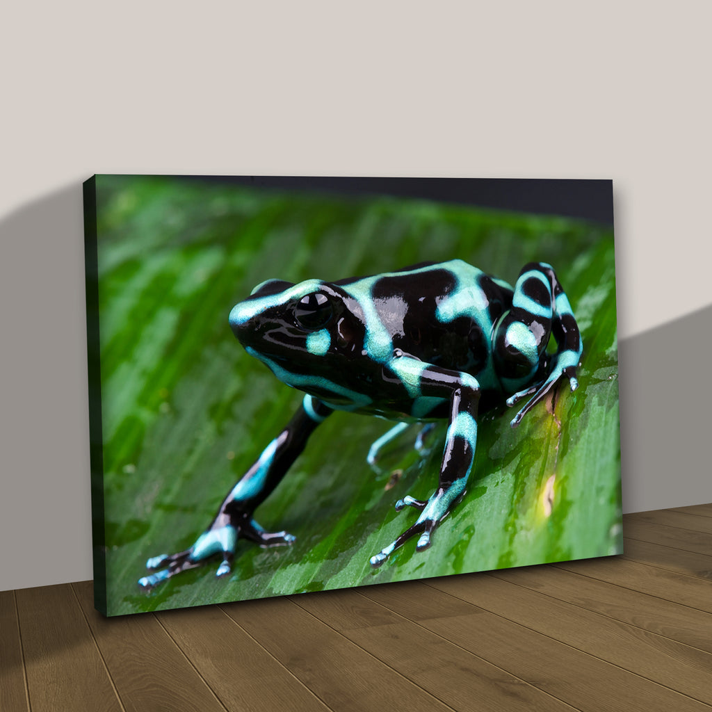 Frog Wall Art To Bring That Fun Your Home Deserves - Image by Tailored Canvases