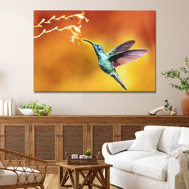 The Best Hummingbird Canvas Prints for Any Room in Your Home - by Tailored Canvases