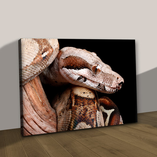 Awesome Snake Canvas Wall Art To Decorate Your Space - Image by Tailored Canvases