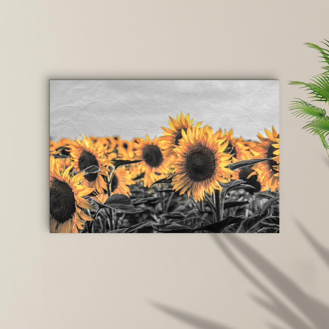 Brighten up Your Day with Some Sunflower Wall Art - by Tailored Canvases