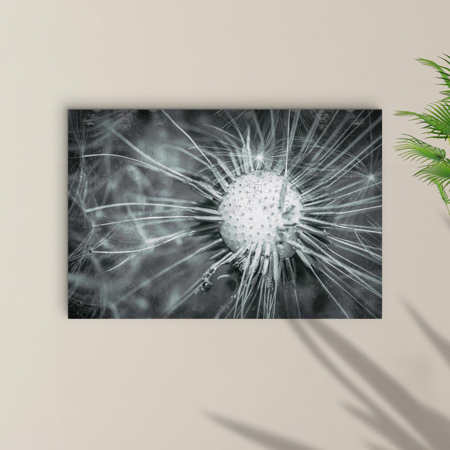 Blowing Away The Competition: Creative Ideas For   Decorating With Tailored Canvases' Dandelion Wall Art - Image by Tailored Canvases