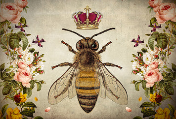 collections/queen_bee.jpg