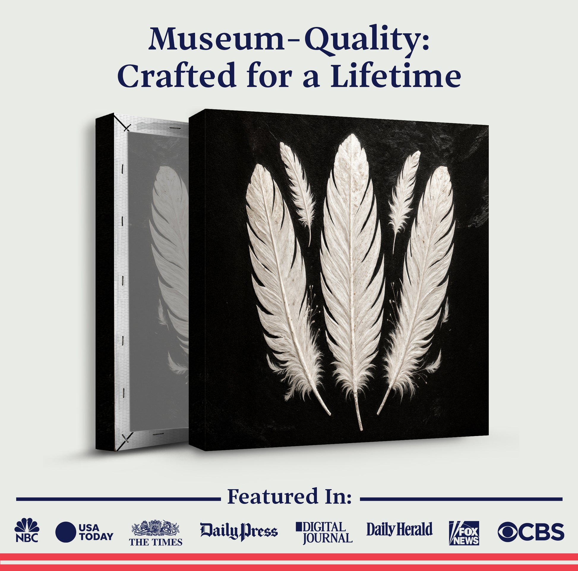 Minimalist Monochrome Feather Wall Art