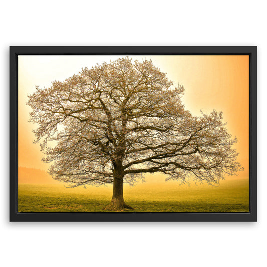 Save 33% When You Add A Frame To Your 24x16 Golden Oak Tree Wall Art Canvas Now